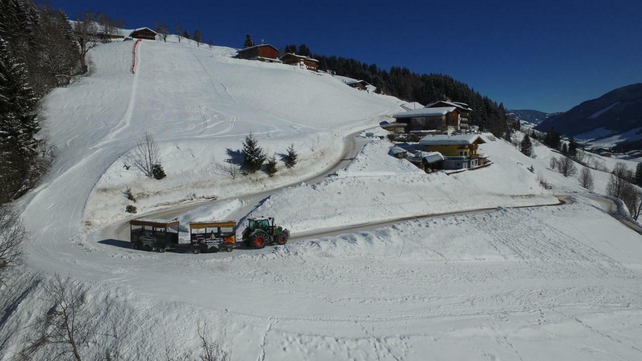 Ski In-Ski Out - Gaestehaeuser Saalbach-Hinterglemm - Wallegghof Christianhof Екстер'єр фото
